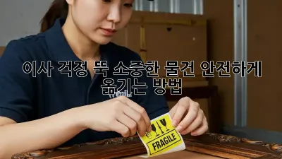 이사, 걱정 뚝! 소중한 물건 안전하게 옮기는 방법